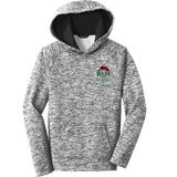 Wash U Youth PosiCharge Electric Heather Fleece Hooded Pullover